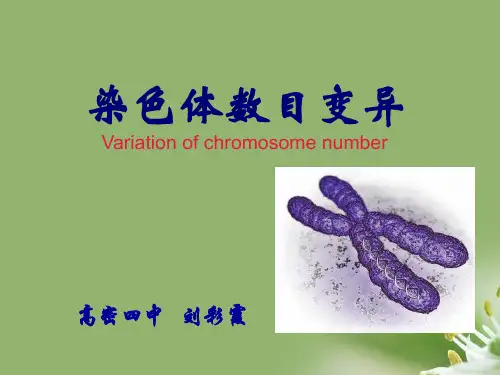 染色体变异ppt64 人教课标版精选教学PPT课件