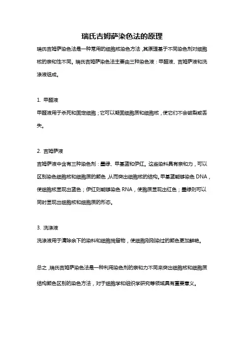 瑞氏吉姆萨染色法的原理