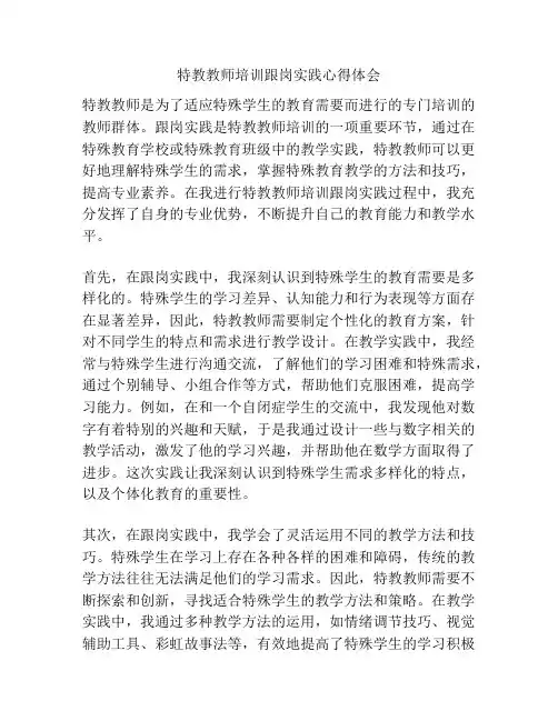 特教教师培训跟岗实践心得体会