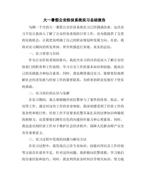 大一暑假公安经侦系统实习总结报告