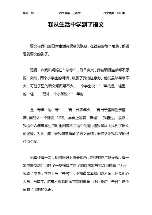 我从生活中学到了语文作文【初中初一500字】