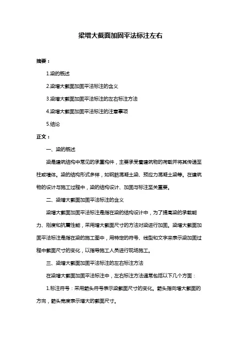 梁增大截面加固平法标注左右