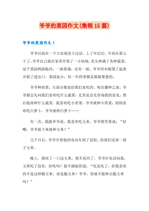 爷爷的菜园作文(集锦15篇)
