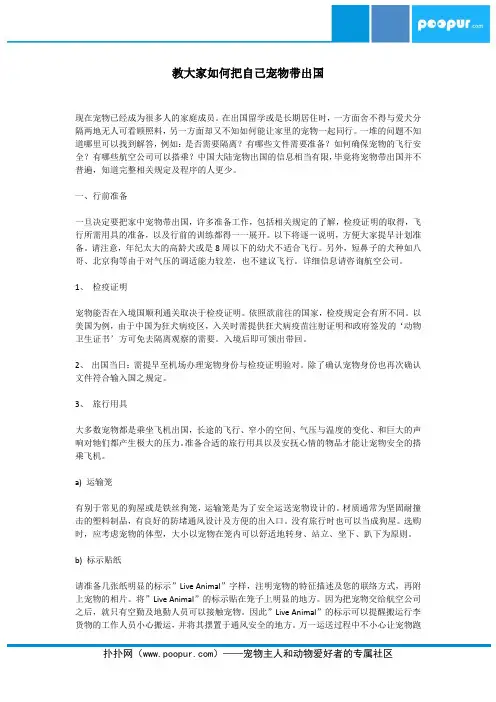 教大家如何把自己宠物带出国