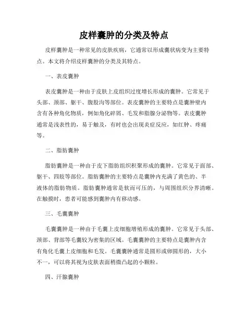 皮样囊肿的分类及特点