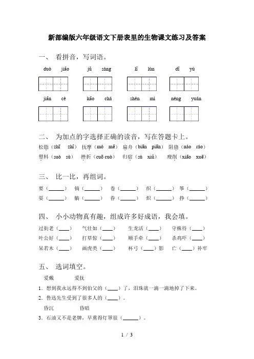 新部编版六年级语文下册表里的生物课文练习及答案