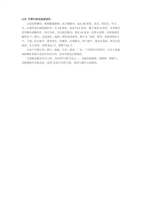 白前 萝藦科鹅绒藤属植物