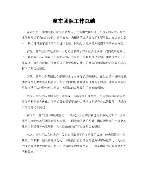 童车团队工作总结