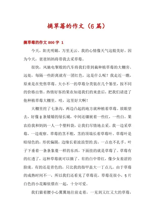 摘草莓的作文(6篇)