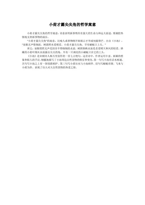 小荷才露尖尖角的哲学寓意