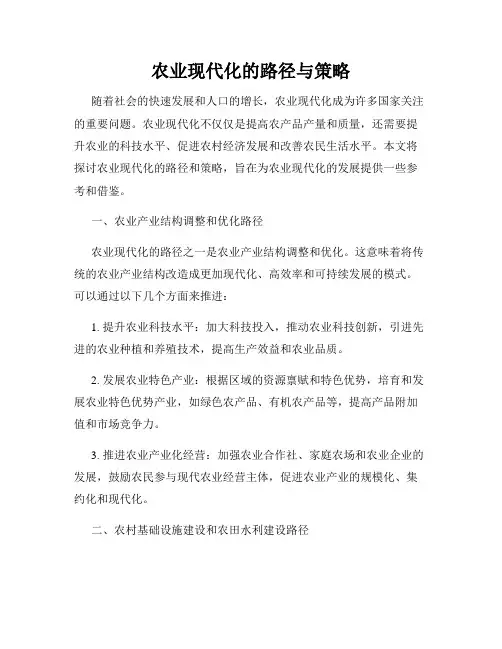 农业现代化的路径与策略