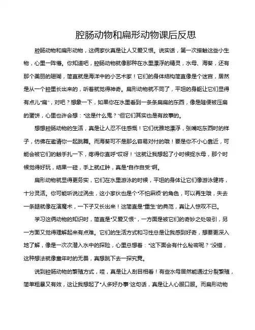 腔肠动物和扁形动物课后反思