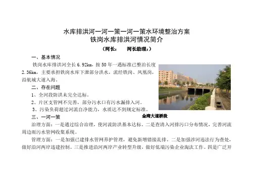 水库排洪河一河一策一河一策水环境整治方案