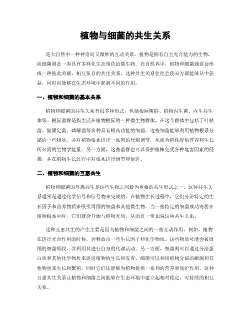植物与细菌的共生关系