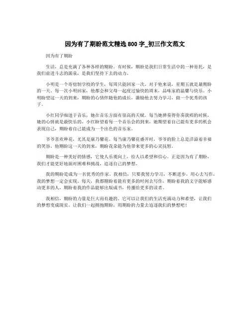 因为有了期盼范文精选800字_初三作文范文