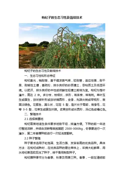 枸杞子的生态习性及栽培技术