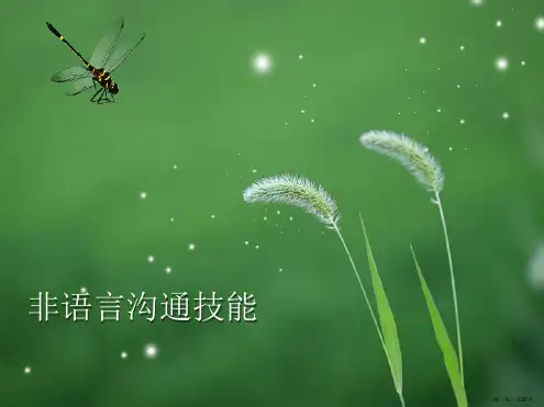 非语言沟通技能PPT