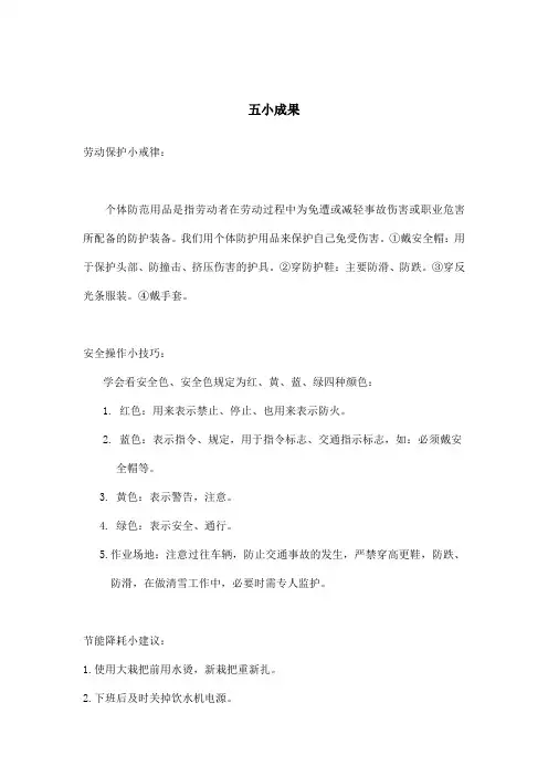 五小成果