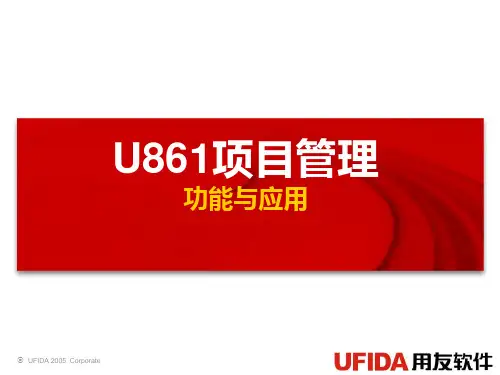 用友项目管理模块 U8项目管理功能介绍
