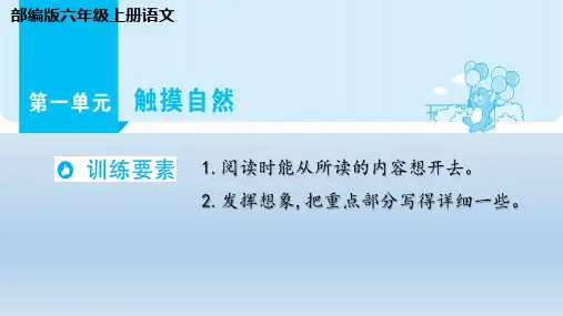 部编版六年级上册语文第一单元 触摸自然(同步阅读)