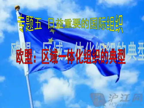 欧盟：区域一体化组织的典型