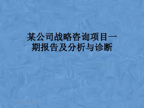 某公司战略咨询项目一期报告及分析与诊断