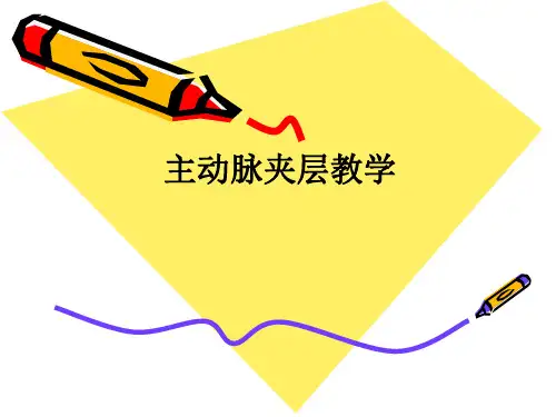 主动脉夹层ppt课件