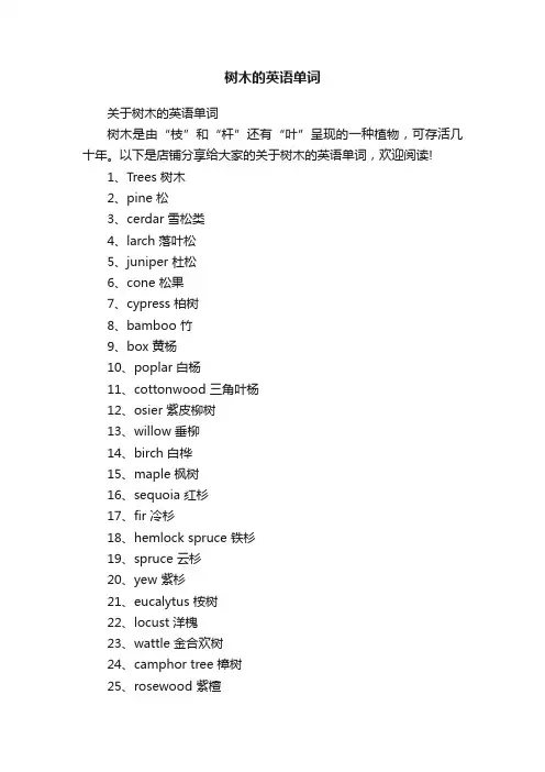 树木的英语单词
