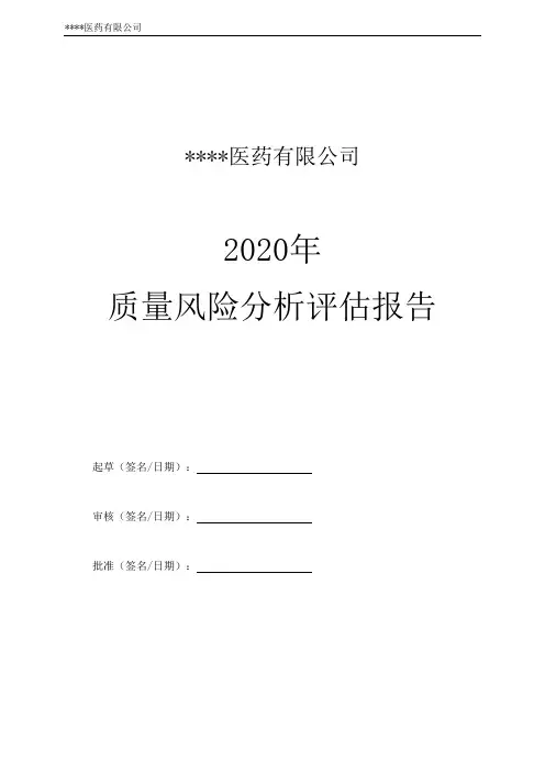 2020年风险分析评估报告