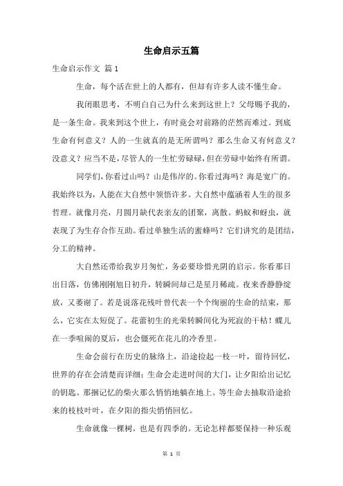 生命启示五篇