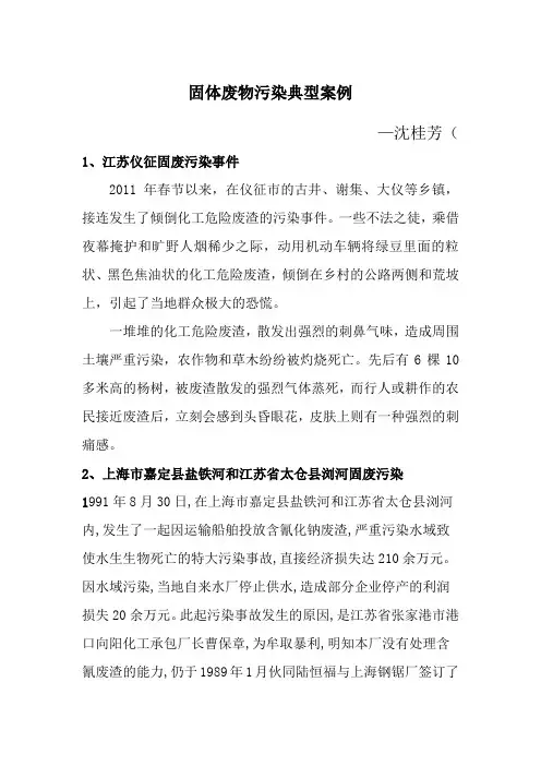 固体废物污染典型案例
