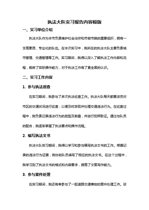 执法大队实习报告内容模版