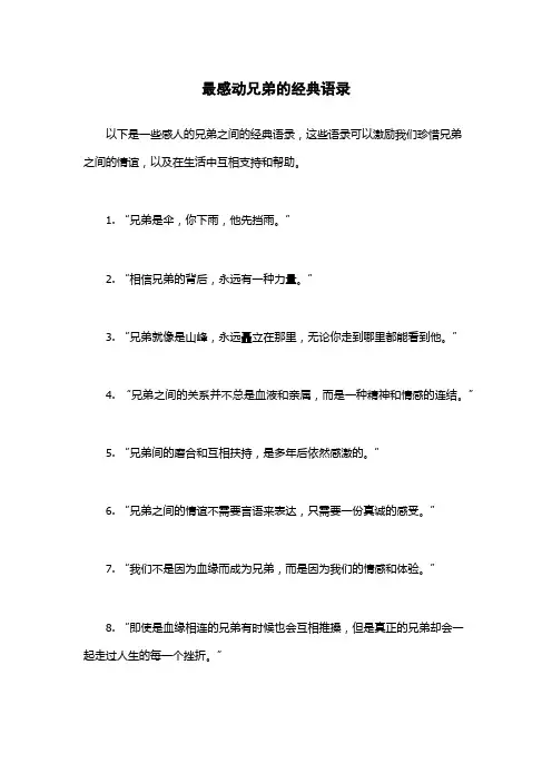 最感动兄弟的经典语录