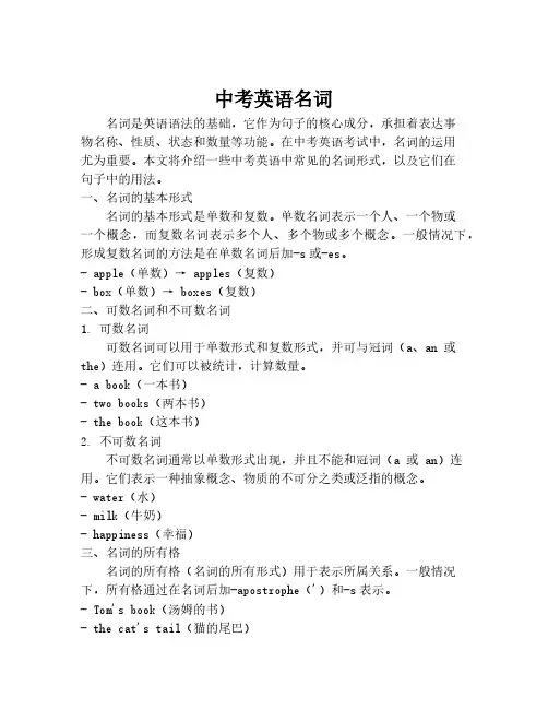 中考英语名词