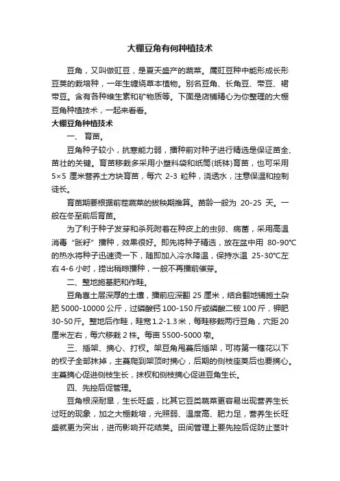 大棚豆角有何种植技术