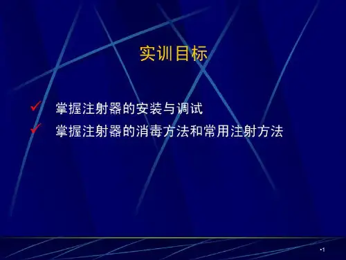 技能训练注射器使用及给药方法PPT课件