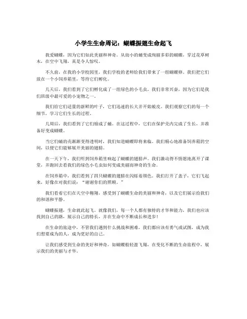 小学生生命周记：蝴蝶振翅生命起飞