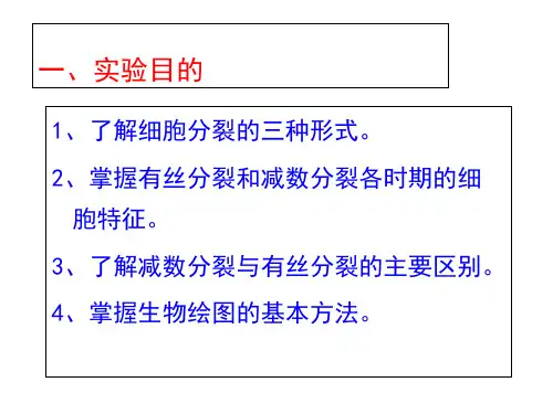 实验二细胞分裂及生物绘图_PPT幻灯片