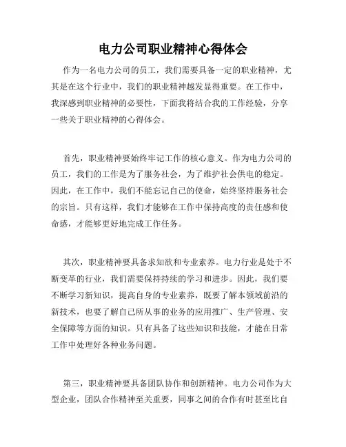 电力公司职业精神心得体会