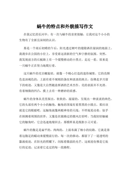 蜗牛的特点和外貌描写作文