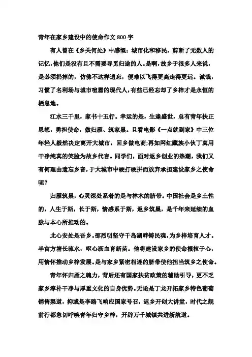 青年在家乡建设中的使命作文800字