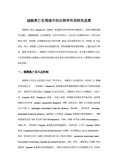 细胞焦亡在胃癌中的生物学作用研究进展