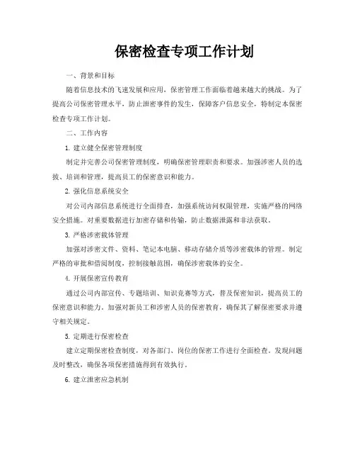 保密检查专项工作计划