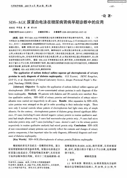 SDS-AGE尿蛋白电泳在糖尿病肾病早期诊断中的应用