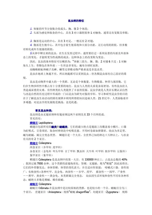 昆虫纲的特征