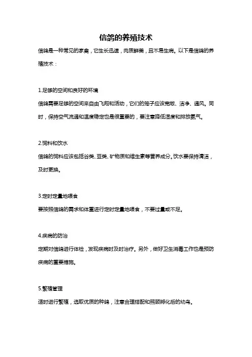 信鸽的养殖技术