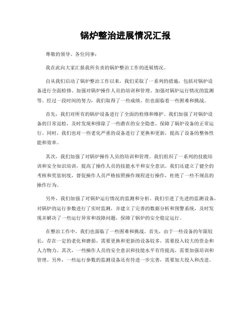 锅炉整治进展情况汇报