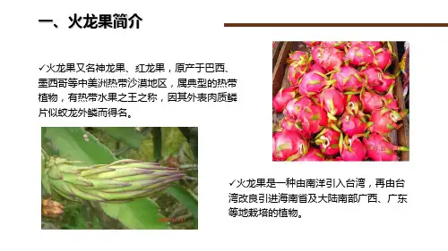 火龙果栽培管理技术