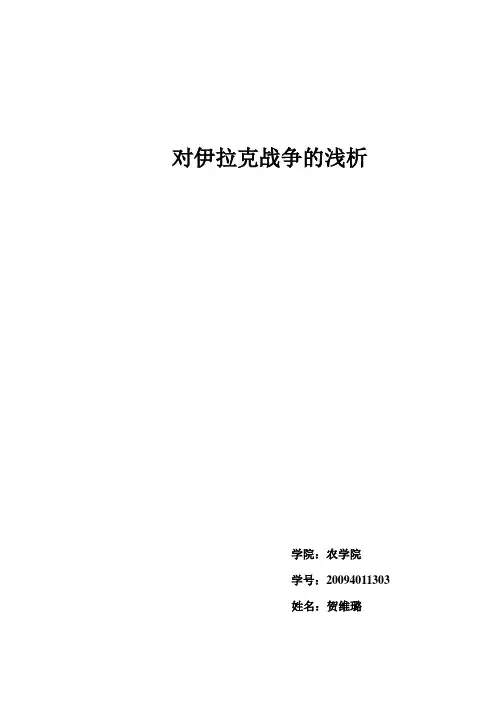 对伊拉克战争的浅析