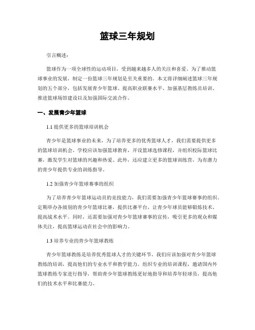 篮球三年规划